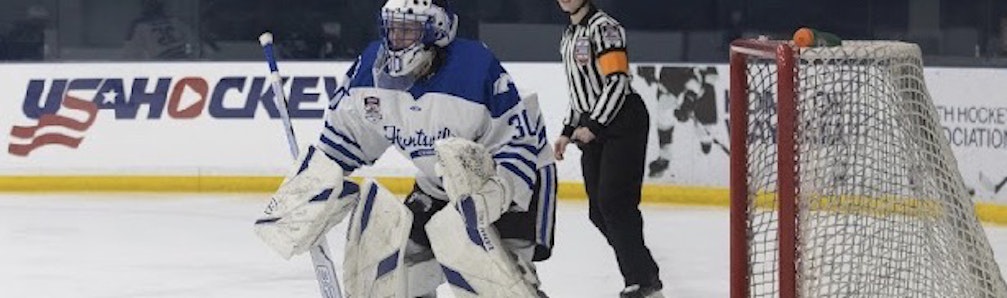 Ari van Leeuwen's Ice Hockey cover photo